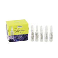 Sence ādu izlīdzinošas seruma ampulas ar kolagēnu 5x2ml | Multum
